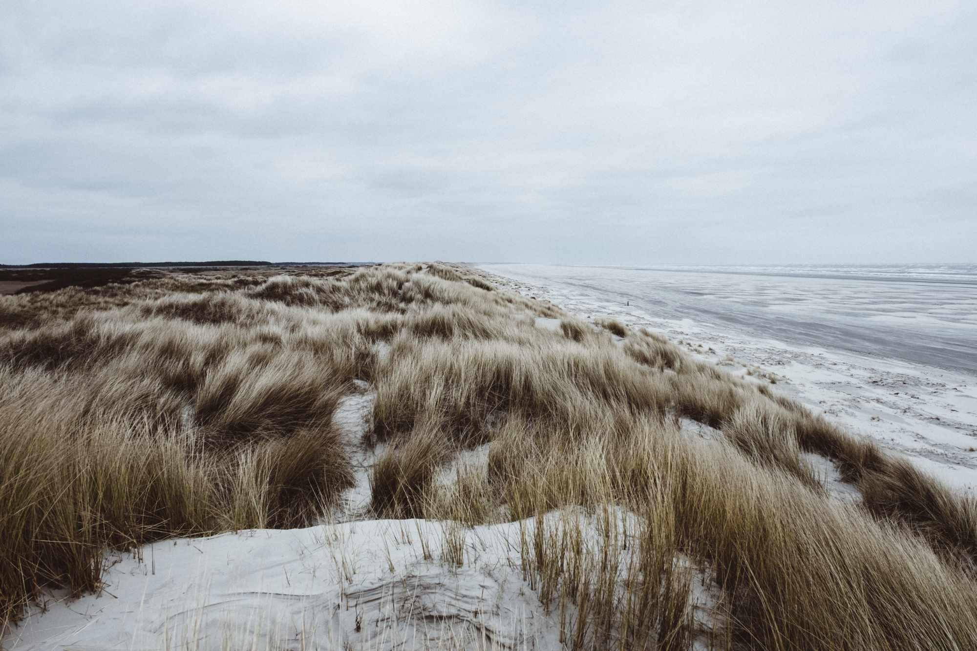 Strandausschnitt an der Nordsee.